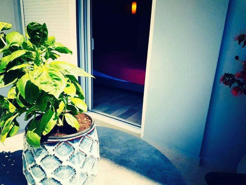 Luxury Apartments Near To The Beach プラキアス エクステリア 写真